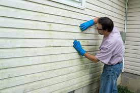 Best Siding Painting and Refinishing  in Cresson, TX